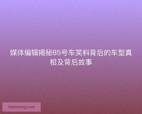 媒体编辑揭秘85号车笑料背后的车型真相及背后故事