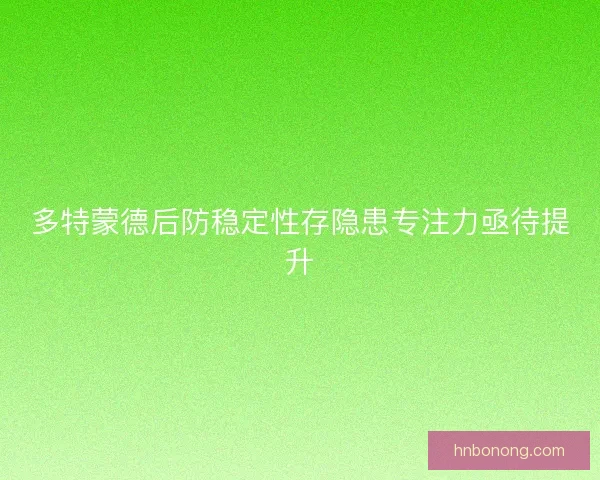 多特蒙德后防稳定性存隐患专注力亟待提升